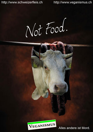 Not Food
